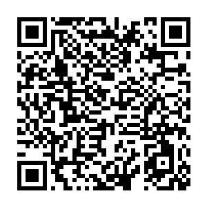 苗毅不禁怀疑这厮不会是自己离开了这么多年一直在这里吃了结丹就睡二维码生成