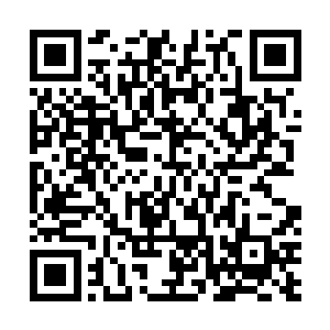 苗毅东张西望时无意中看到横躺在大殿上的一条金色巨龙二维码生成