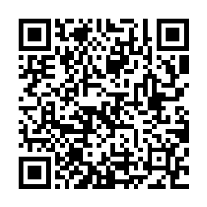 苗毅和暗幽林能感觉到一股强悍法力笼罩着护住了他们两人二维码生成