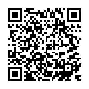 若不是他们也已经感觉到玄水巨蟒的生命气息逐渐的褪去的话二维码生成