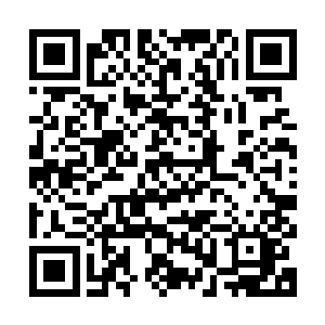 若不是他身上那层完全由圣之力凝结成的铠甲抵消了大部分攻击二维码生成
