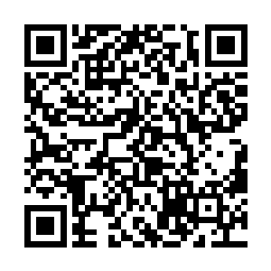 若不是仗着他们手中的法宝和小周天星斗阵精妙的话二维码生成