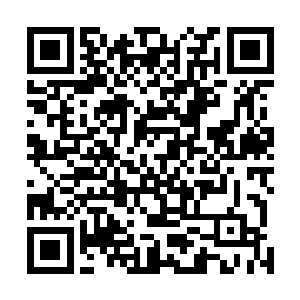 若不是刺棘黑风在这样的环境下整体行动力极大程度受限二维码生成