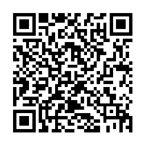 若不是吴虎臣捏着自己手中所得到的这枚妖族令牌的话二维码生成