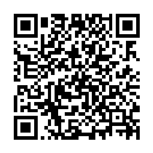 若不是有几枚混沌珠能源源不断的制造火焰给他食用二维码生成