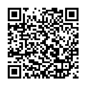若不是看着叶璃黯然伤神却坚定的要留下青霜的模样二维码生成