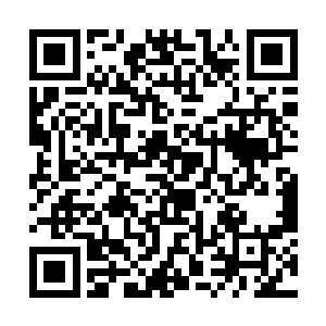 若是南疆圣女死了谭继之在南诏的势力将会荡然无存二维码生成