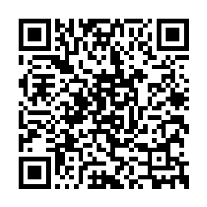 若是心在星界……我从今往后再不会管你的死活二维码生成