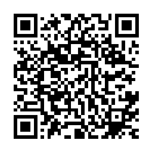 若是神体和血脉在大量不朽之力的刺激下真的进化为不朽级别二维码生成
