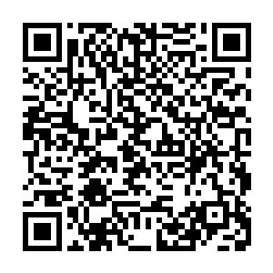 若是范筱梵能继续在荒芜之地停留一段时间……范筱梵绝对会留在这里的二维码生成