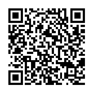 若是说换做是别的人我到时不相信会在半个月之内看完这些书二维码生成