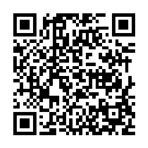 若是这位炎角大长老再问这种傻X问题他可能就憋不住怒气了二维码生成