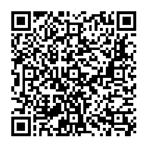 若说之前冯文博对夏云杰这位师叔的尊敬更多的是出于中华民族尊师重教的传统美德二维码生成