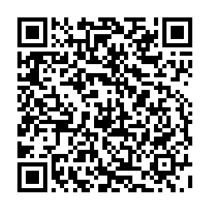若说张潇晗的前半段话还让蓝优三人对万年修炼的艰辛产生付之东流的想法二维码生成