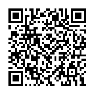 苦苦等了一个星期的无漏果的消失让他心疼不已二维码生成