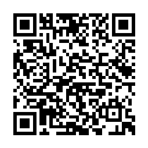 茅山宗已经在青年组的比武上证明了他们的实力二维码生成