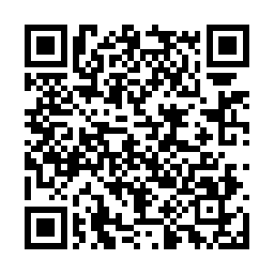 荣光只用了十分钟就把开车所需要的动作都学会了二维码生成