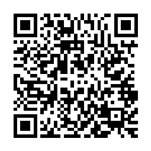 荣耀至死世界巡回演唱会的揭幕战以惊世骇俗的姿态闪亮登场二维码生成