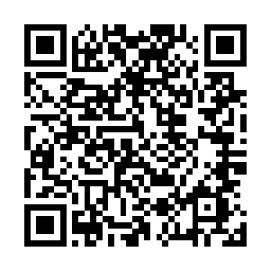 荣耀至死的其他队员们是不是在后悔这一次没有一起来伦敦二维码生成