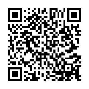 莎柏琳娜带着她的那些娘子军们在用最恭敬的姿态等待着二维码生成