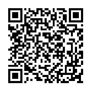 莫咏欣和孟瑶两女原本正用担忧的眼神盯着秦宇二维码生成