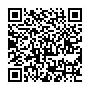 莫昕岚甚至可以看到英俊不凡的成国公世子满是深情歉意的眸子二维码生成