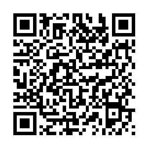 莫菲·凯森指了指正放在伊万·特朗宽大办公桌上的文件袋二维码生成