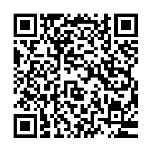 莫非将当初将这怨丧开膛破肚抽出怨丝的竟然是那指骨主人不成二维码生成