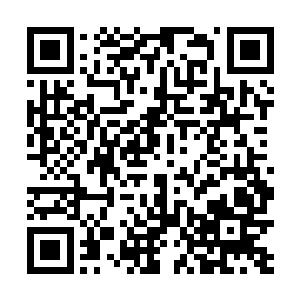 莲花峰许家不仅是集齐了多灵根一系和十二支嫡系血脉二维码生成