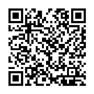 莲花暗器终究只是在东方康成的脖子侧边划出一道血痕二维码生成