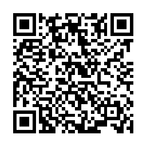 获得了这么多的法则之力对他们来说已经是很满足了二维码生成