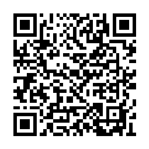 获得八百万美金支票一张而褚博除了血钻榜之外二维码生成