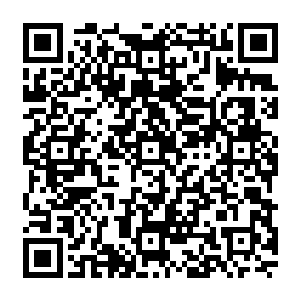 菲力更不知道原战还学习了一个据说由祖神传承的叫做初级训练法的正确且系统的训练方法二维码生成