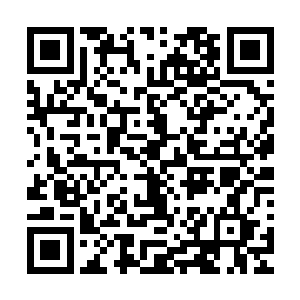 萧宇阳朗声宣读各层次比试中排名前十的名单和所获得的奖励二维码生成
