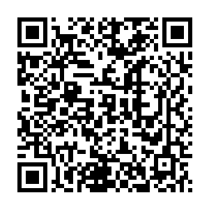 萧家已经有三十年不卖桐木古琴了……尤其是萧家前位家主去世之后二维码生成