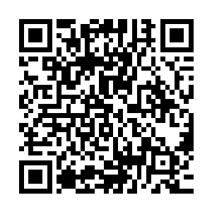 萧强一直计划着安排姚青去诊所或者古大巨的种植基地去学习二维码生成