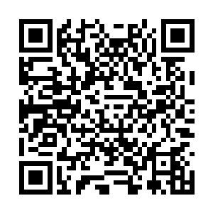 萧强回去瞅了一眼还在昏睡未醒的秋蓝和夏洛克果二维码生成