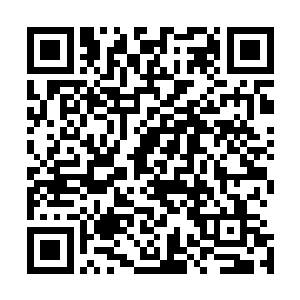 萧易已经压根就完全不相信之前张语涵和他说的那个情况了二维码生成