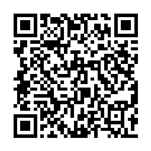 萧晨已经到了不出全力无法几乎无法战胜的地步二维码生成