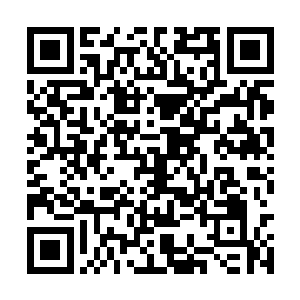 萧晨新生的两条支脉别温养的和其他支脉一般无二二维码生成