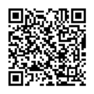 萧晨竟然将以前始终无法彻底完善的芜葵开天给悟透了二维码生成