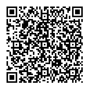 萧沐晨见状眼中的杀意也是丝毫不减一道道恐怖的劲气带着恐怖的威势直接朝着几个人的身笼罩过去二维码生成