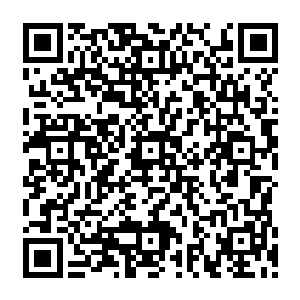 落在了血海之中翻江倒海的那头苍穹骑士以血命合一之术显化出来的非龟非龙的神兽头上二维码生成