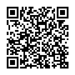 董建伟和井致中虽然也认同陆为民在经济发展上敏锐嗅觉和眼光二维码生成
