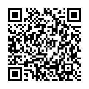 董文征先为官后经商的决断和嗅觉不是边爸靠写书法能体悟到的二维码生成