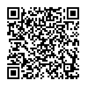 蒂莫·布劳尔在看到荣光用一种类似于侧压腿的动作过掉西穆尼奇二维码生成