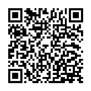 蒋美媛好像是确定卓景没事了又追出来在后面喊了我一声二维码生成