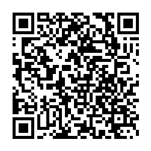 蒲燕甚至不无抱怨的说陆为民这个本该是最忙的人现在变成了最闲的人二维码生成