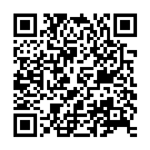 蓝岛王上立即又让人在他们的桌子上弄了一些其他的可口的食物二维码生成