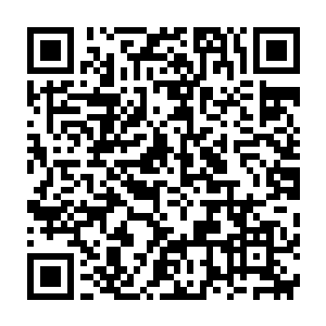 蔺春生和曹刚就这么不明就里的要把陆海集团和嘉桓公司拒之门外二维码生成